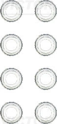 Seal Set, valve stem